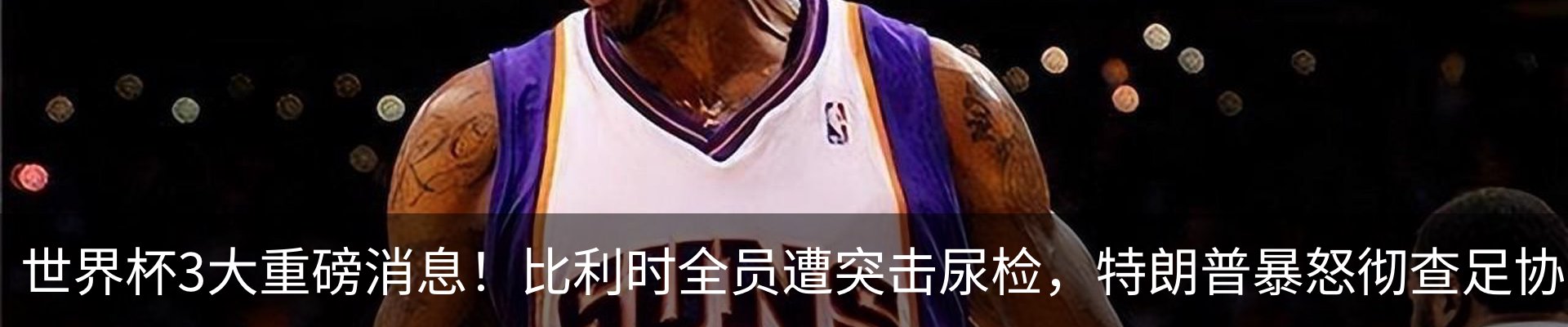 最新动态