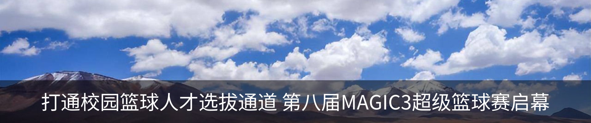最新动态